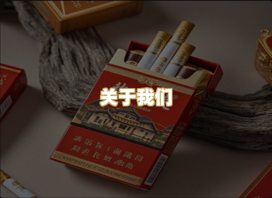 关于我们